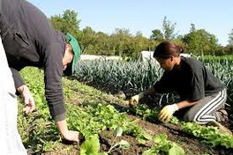 CESE Présentation du projet d’avis et du rapport sur l’économie sociale et solidaire