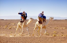 Festival des nomades        M\'hamid El Ghizlane abritera la 12e édition du 13 au 15 mars