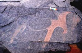 Vallée de Tamanart 60 sites d’art rupestre parsèment la zone