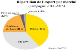 Agrumes Deux millions de tonnes attendues
