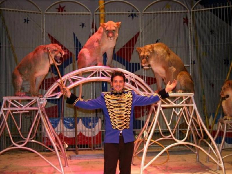 Lancement à Rabat d'une formation spécifique  Comment accéder aux métiers du cirque