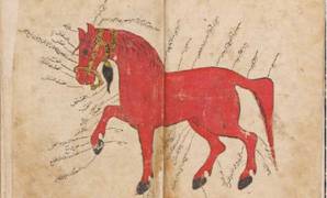 : Les merveilles des manuscrits islamiques   L’art de la calligraphie, des miniatures et des enluminures à la Bibliothèque nationale