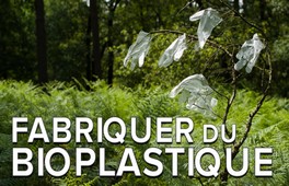 Un plastique biodégradable créé à partir de déchets agricoles