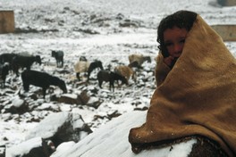 Des richesses naturelles et une pauvreté endémique au Maroc