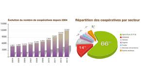 Économie sociale  Le ministère de l\'Artisanat lance une étude globale sur les coopératives