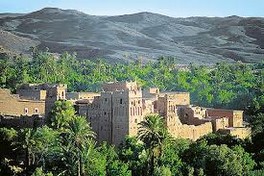 Les Oasis du Sud Une situation critique