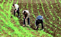 Région - agriculture d’avenir