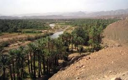 Tourisme durable à Zagora Le potentiel oasien au cœur du débat