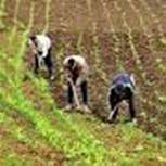 Agriculture Un centre d’information pour les agriculteurs