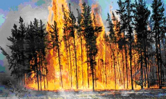 Gestion des risques Recrutement saisonnier de 3 000 guetteurs pour détecter les départs des incendies pour l’été 2013.
