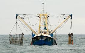 Accord de pêche  126 bateaux européens investiront les eaux marocaines