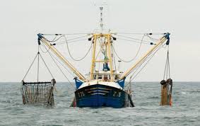 Accord de pêche 126 bateaux européens investiront les eaux marocaines