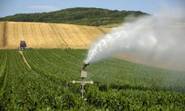 Agriculture  Les dernières pluies ravivent les espoirs