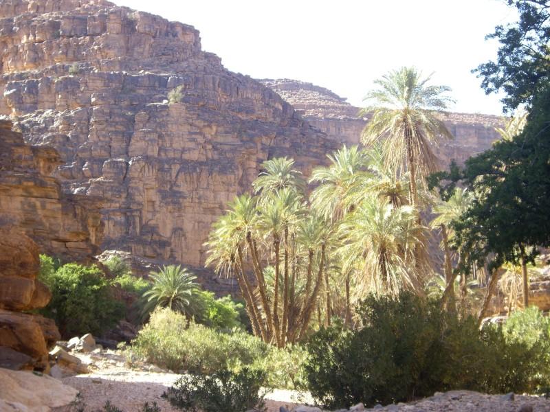 La région de Guelmim-Smara dispose d\'importantes potentialités naturelles, touristiques, culturelles et historique