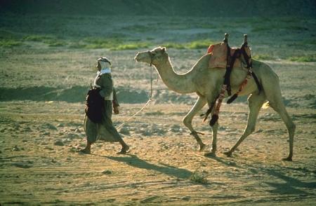 Desertec - exploiter les possibilités offertes par l\'énergie solaire du Sahara