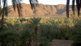 Le tourisme oasien au Sahara culture, aventure et investissements à Guelmim