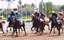 Purement compétitive Première édition du Meeting international des courses de pur sang