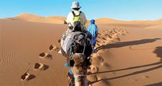 FIN 2013 Maroc Le tourisme à l’heure de la segmentation