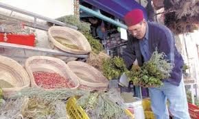 L’Institut des plantes de Taounate devient public