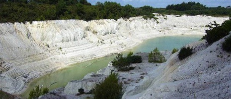 Agriculture-pêche -fôret 