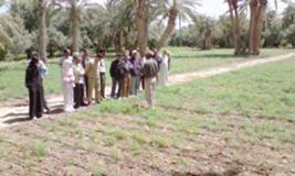 Agriculture bio Des oasis paradis des plantes aromatiques