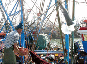 Agriculture-pêche -fôret 