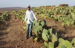 Le Maroc en position forte face à l\'évolution du climat