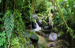 Tourisme pour la région 