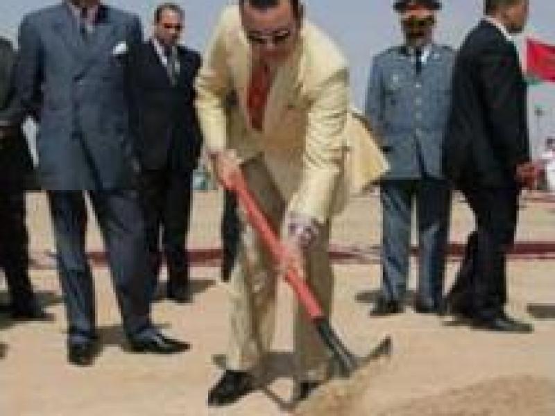 SM le Roi Mohammed VI veut planter des cactus dans la région de Guelmim