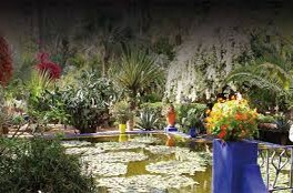 Marrakech La flore méditerranéenne en débat