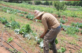 Agriculture-pêche -fôret 