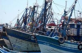 Des pêcheurs sanctionnés à Tan Tan