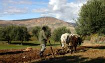 Agriculture-pêche -fôret 