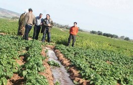 Recensement général de l’agriculture La communauté agricole se mobilise