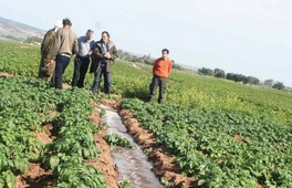 Recensement général de l’agriculture La communauté agricole se mobilise 