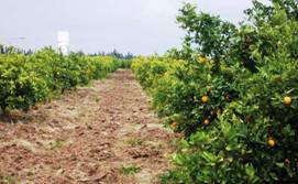 Spécial Environnement Croissance verte au Maroc