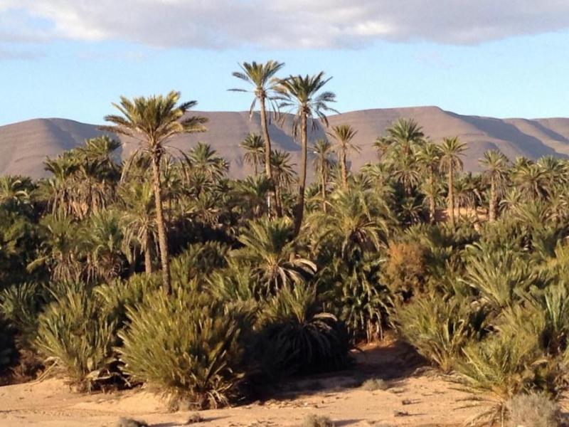 La région de Guelmim-Smara a tous les atouts pour être touristiquement distinguée 