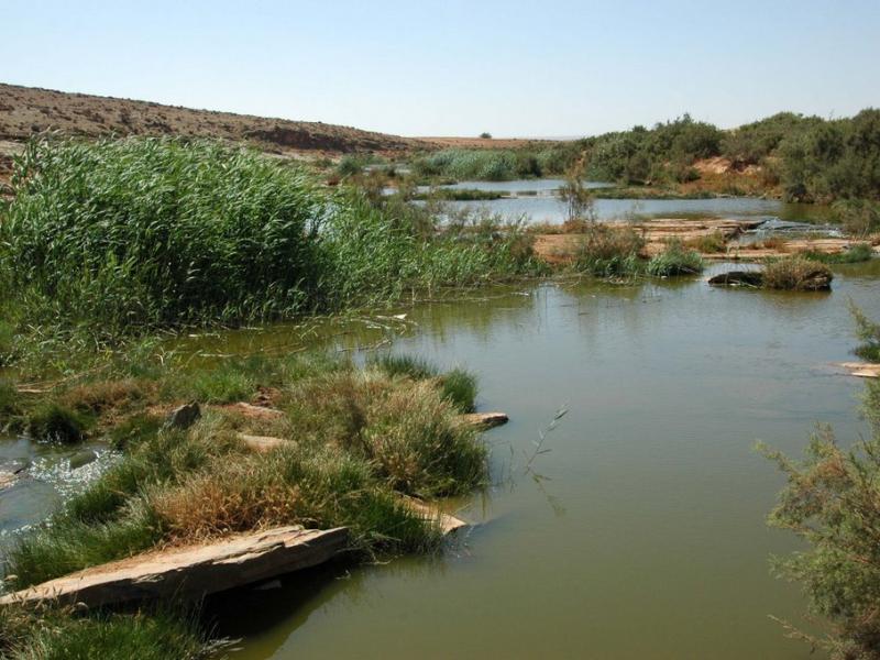 La région de Guelmim-Smara dispose d'importantes potentialités naturelles, touristiques, culturelles et historique   