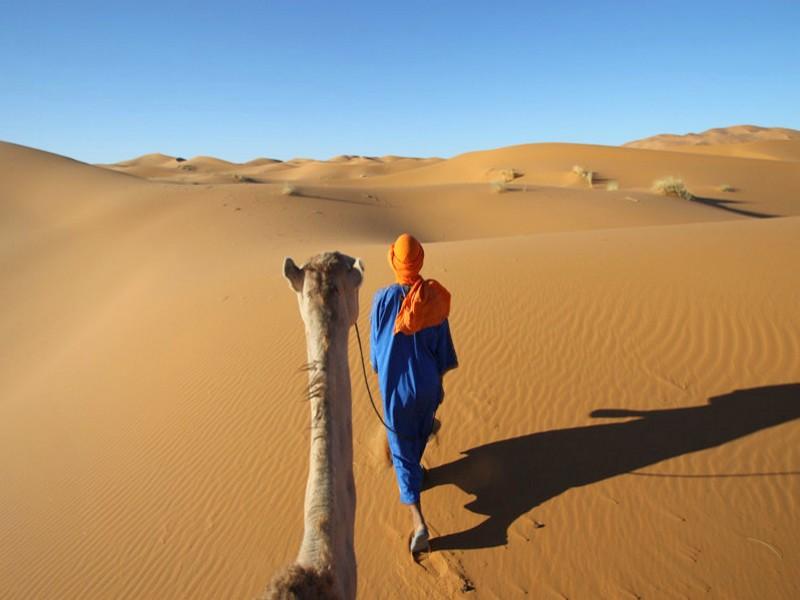 Tourisme pour la région 