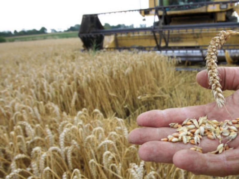 Consulting   L’agriculture crée ses agréments 