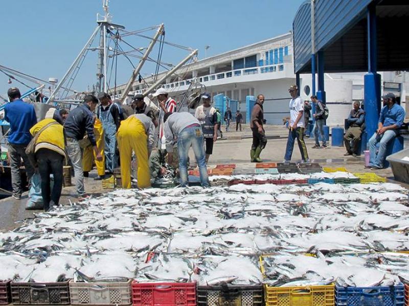 Accord de pêche   Pas d’avancées dans les négociations Maroc-UE