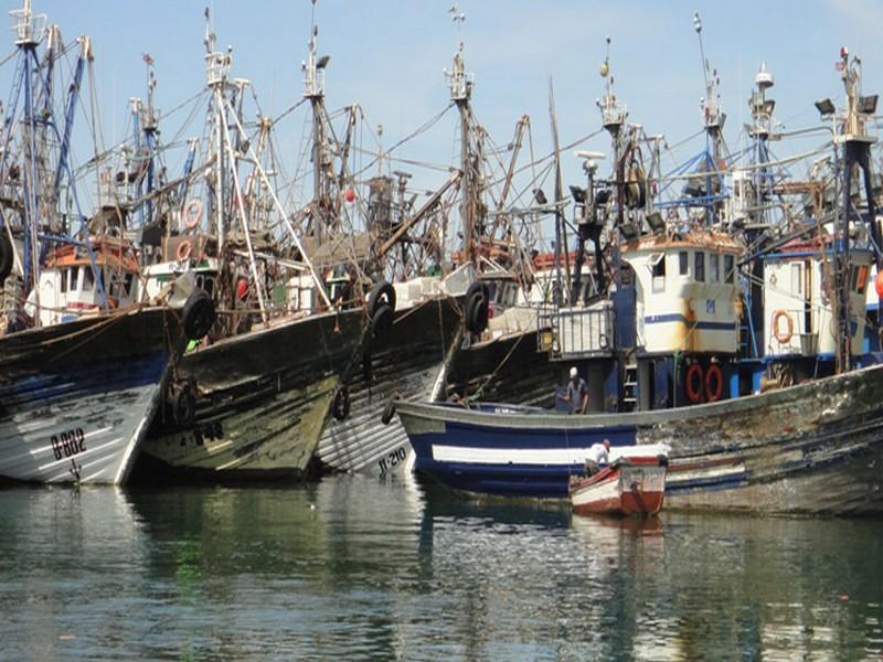 Agriculture-pêche -fôret 