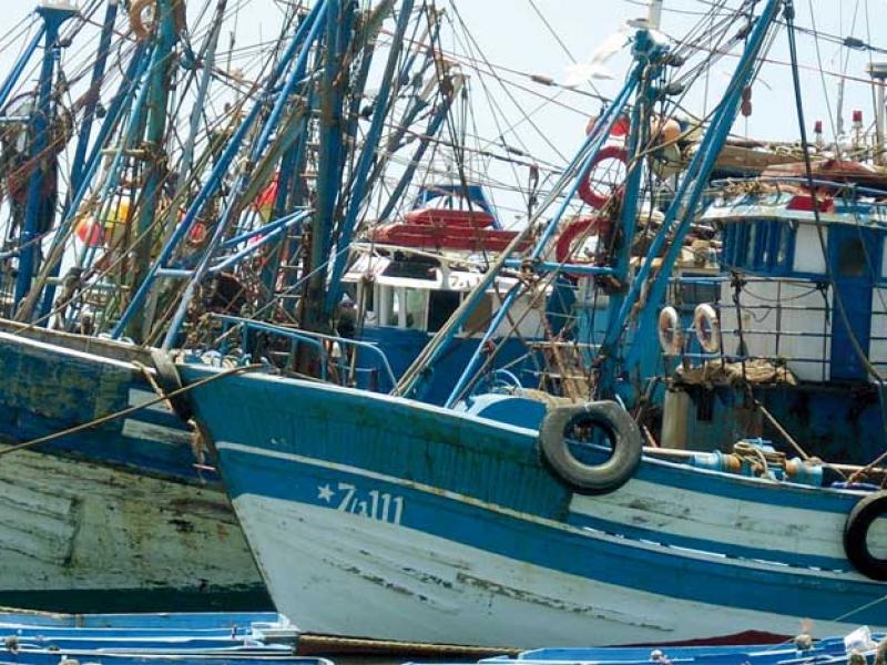 La pêche côtière et artisanale au Maroc