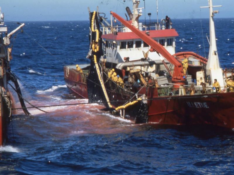 Accord de pêche