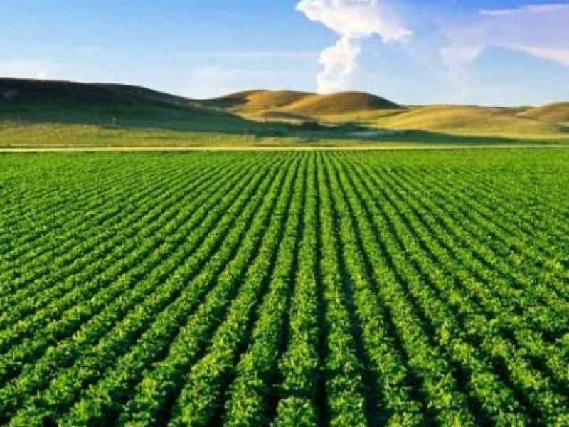 Consulting L’agriculture crée ses agréments