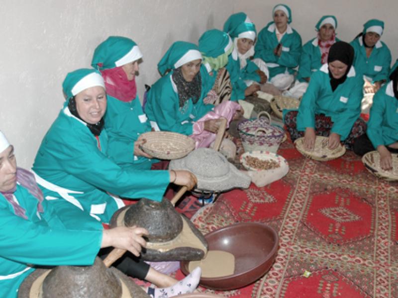Position dans le tissu entrepreneurial et l'intégration de la femme du milieu rural dans le développement durable