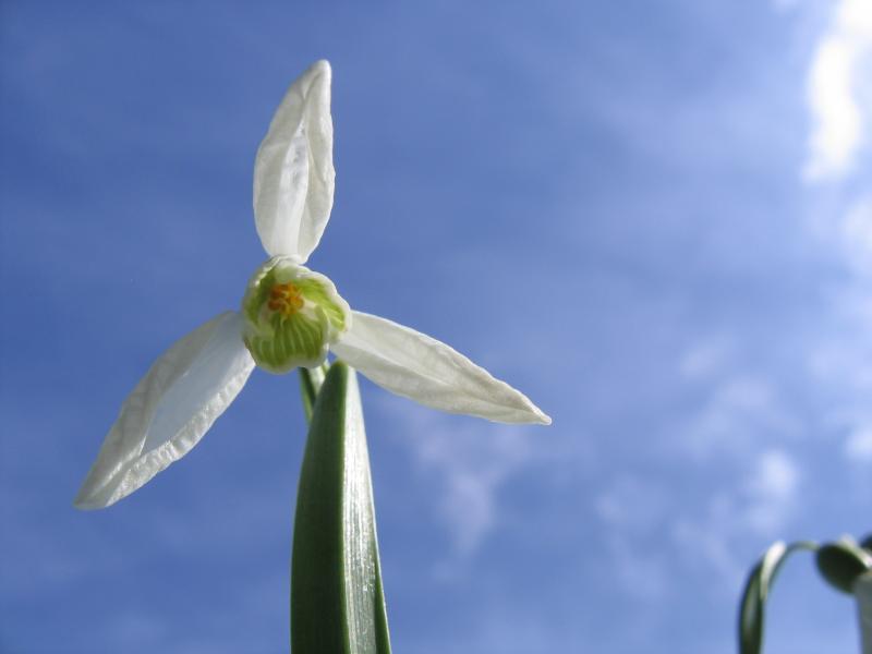 Agriculture-pêche -fôret 