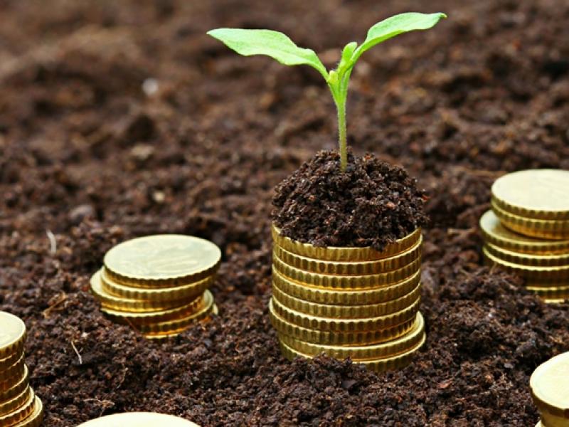 Micro-crédit, mutualisation