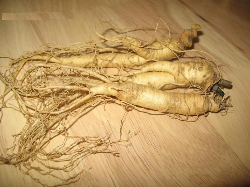 Le Ginseng américain réduit les taux de sucre dans le sang