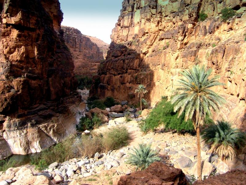 La région de Guelmim-Smara a tous les atouts pour être touristiquement distinguée